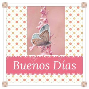 Buscar Frases Bonitas De Buenos Dias Para Descargar