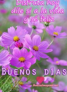 Buscar Frases Bonitas De Buenos Dias Para Mi Amor