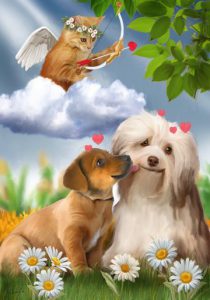 Buscar Imagenes Amor