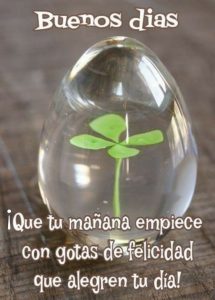 Buscar Imagenes Buenos Dias Para Una Amiga