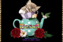 Photo of Buscar Imagenes D Buenas Noches
