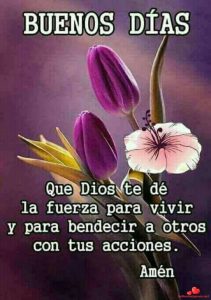 Buscar Imagenes D Buenos Dias Para Celular