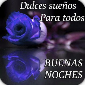 Buscar Imagenes De Buenas Noches Bonitas Para Whatsapp