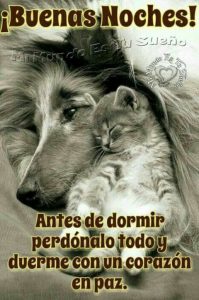 Buscar Imagenes Gratis De Buenas Noches