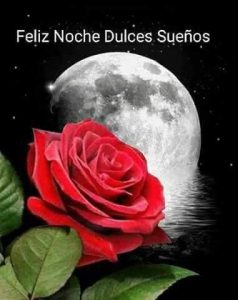 Buscar imágenes bonitas de buenas noches para celular
