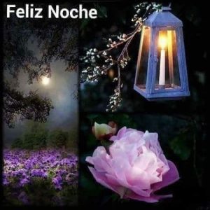 Buscar imágenes bonitas de buenas noches para WhatsApp