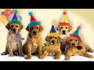 Buscar imágenes para cumpleaños para descargar por WhatsApp