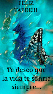Canción de luna buenas tardes gif animadas