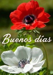 Como Dar Los Buenos Dias A Tu Novia Para Una Amiga