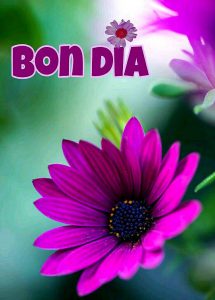 Como Dar Los Buenos Dias A Tu Pareja Para Una Amiga