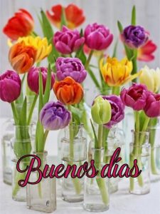 Como Dar Los Buenos Dias Para Una Amiga