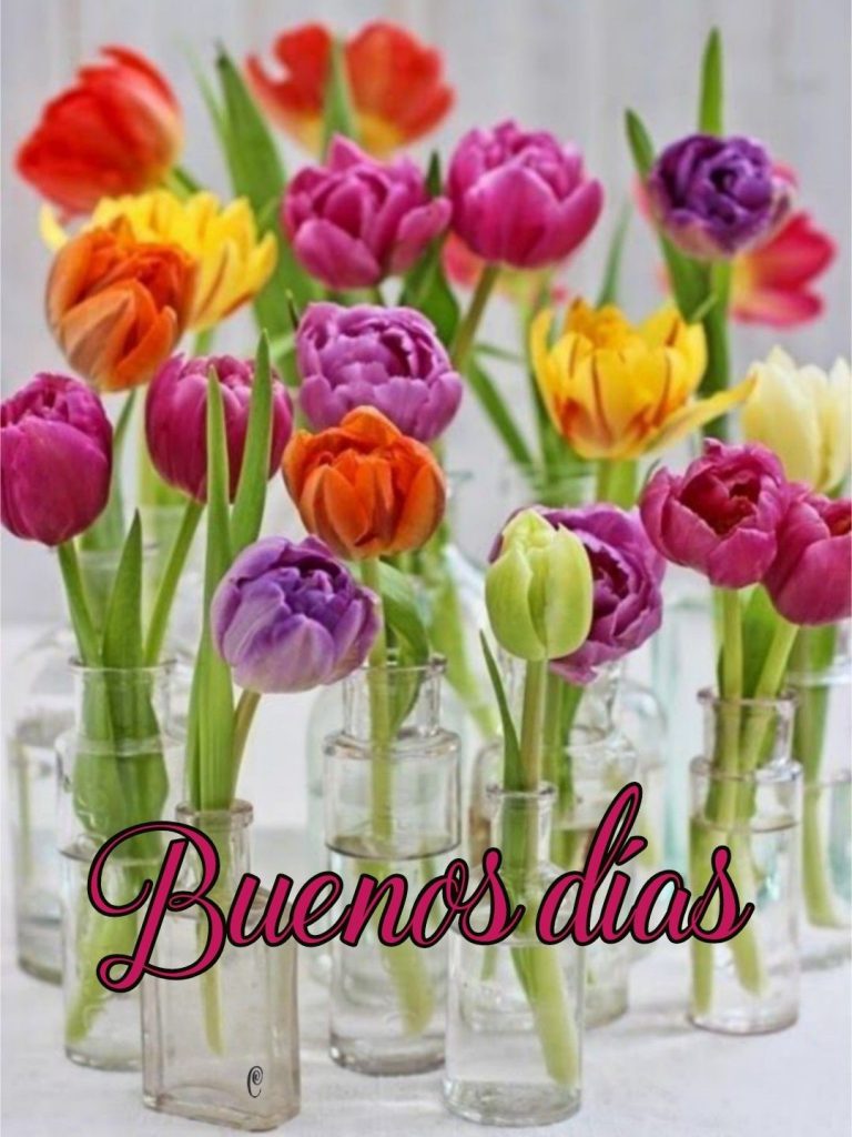 Como Dar Los Buenos Dias Para Una Amiga