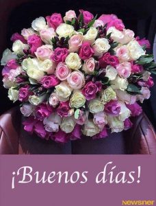 Como Dar Un Buenos Dias Para Enamorar Para Celular