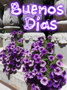 Como Dar Un Buenos Dias Para Enamorar Para Descargar