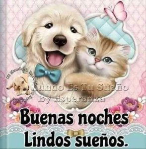 Como Desear Buenas Noches Para Whatsapp