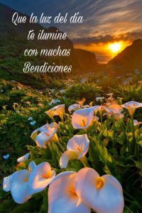 Como Desear Buenos Dias A Mi Amor Para Whatsapp