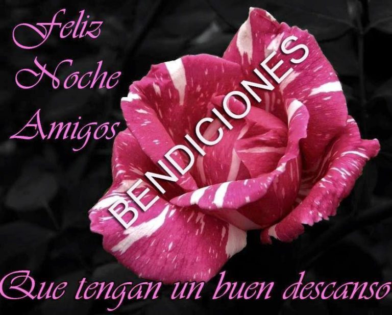 Como Desearle Buenas Noches A Mi Novia Para Descargar Gratis