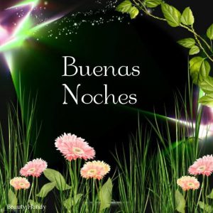 Cosas Bonitas De Buenas Noches Para Facebook