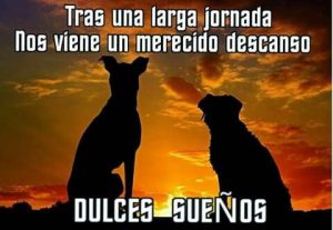 Cosas Bonitas Para Dar Las Buenas Noches Para Celular