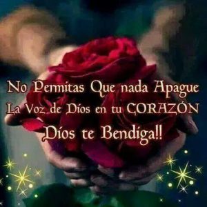 Cuna Dulces Sueños Para Descargar Al Celular