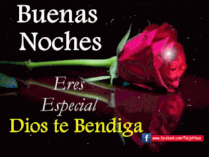 Dar las buenas noches a mi novia para WhatsApp