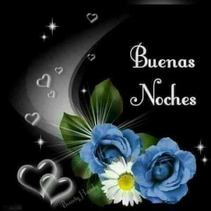 Dar Las Buenas Noches A Tu Amor Para Celular