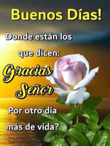 Dar Los Buenos Dias A Mi Amor Para Celular