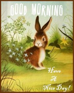 Dar Los Buenos Dias A Tu Amor Para Una Amiga