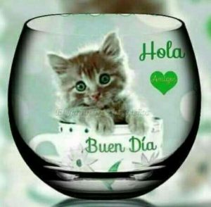 Dar Los Buenos Dias A Tu Pareja Para Celular