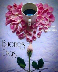 Dar Los Buenos Dias A Tu Pareja Para Descargar