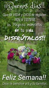 Dar Los Buenos Dias A Una Mujer