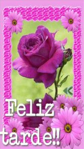 Dar Los Buenos Dias A Una Mujer Para Facebook