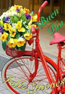 Dar Los Buenos Dias A Una Mujer Para Una Amiga