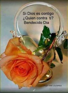 Dar Los Buenos Dias Para Whatsapp