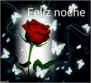 Darle Las Buenas Noches A Mi Novia