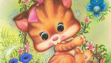 Photo of Darle Las Buenas Noches A Mi Novia Para Celular