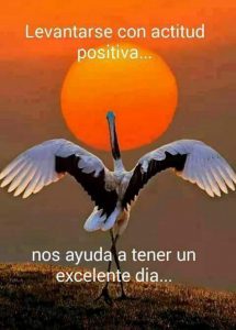 De Buenos Dias Imagenes