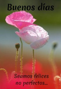 De Buenos Dias Imagenes Para Descargar