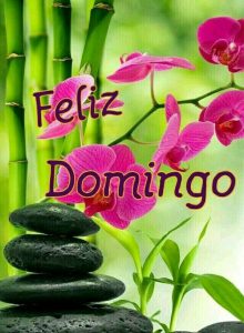De Feliz Domingo Para Celular