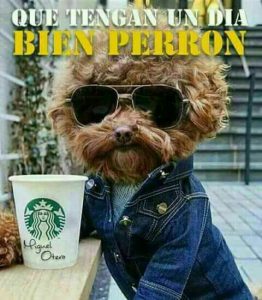 Decir Buenos Dias Con Amor