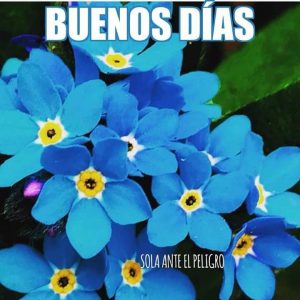 Decir Buenos Dias Con Amor Para Descargar