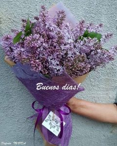 Decir Buenos Dias Con Amor Para Una Amiga