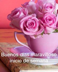 Dedicacion De Buenos Dias Para Whatsapp