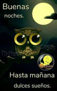 Dedicatoria Buenas Noches Amor Para Celular