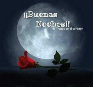 Dedicatoria De Buenas Noches Para Mi Amor Para Celular