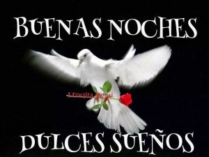 Dedicatoria De Buenas Noches Para Mi Novio Para Facebook