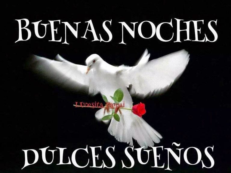 Dedicatoria De Buenas Noches Para Mi Novio Para Facebook