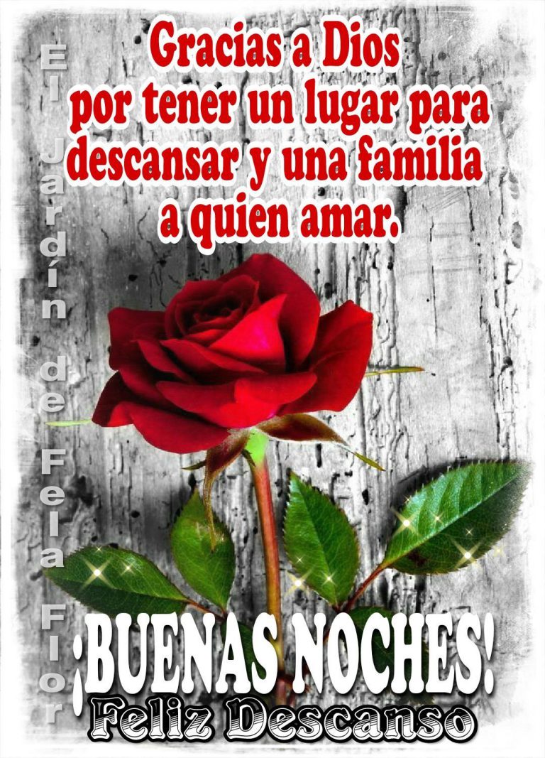 Dedicatoria De Buenas Noches Para Mi Novio Para Whatsapp