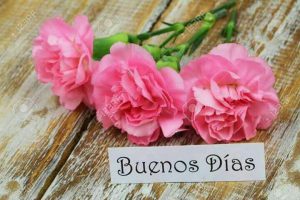 Dedicatorias Buenos Dias Para Whatsapp