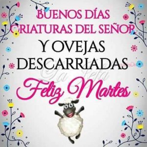 Dedicatorias De Amor De Buenas Noches Para Facebook